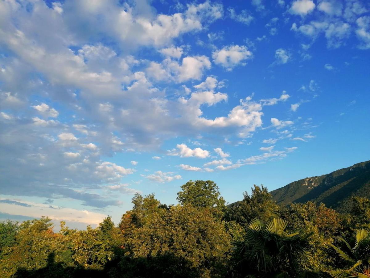 Agriturismo Da Andreina Борсо дел Грапа Екстериор снимка
