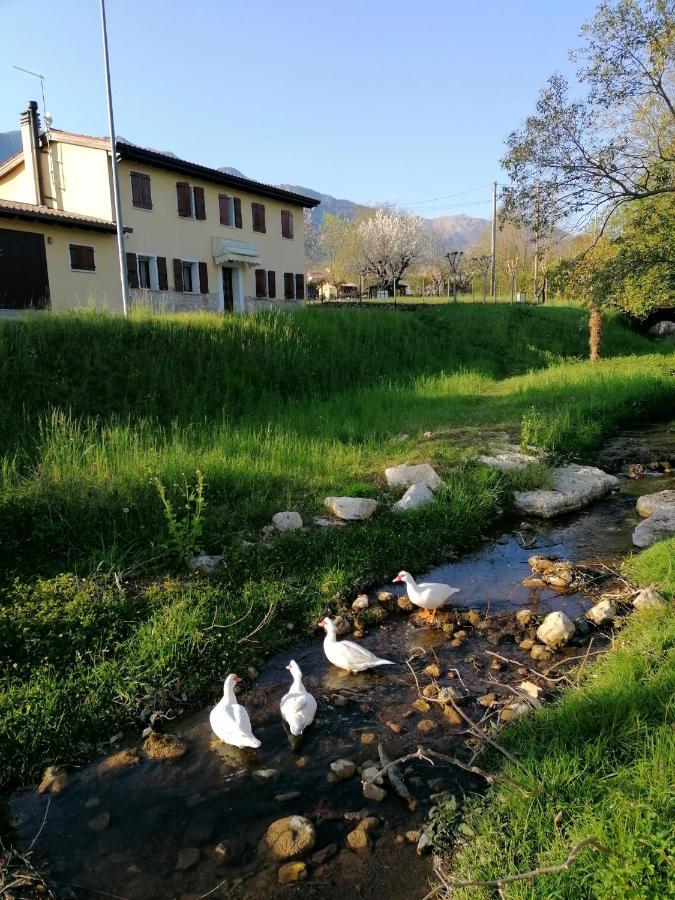 Agriturismo Da Andreina Борсо дел Грапа Екстериор снимка