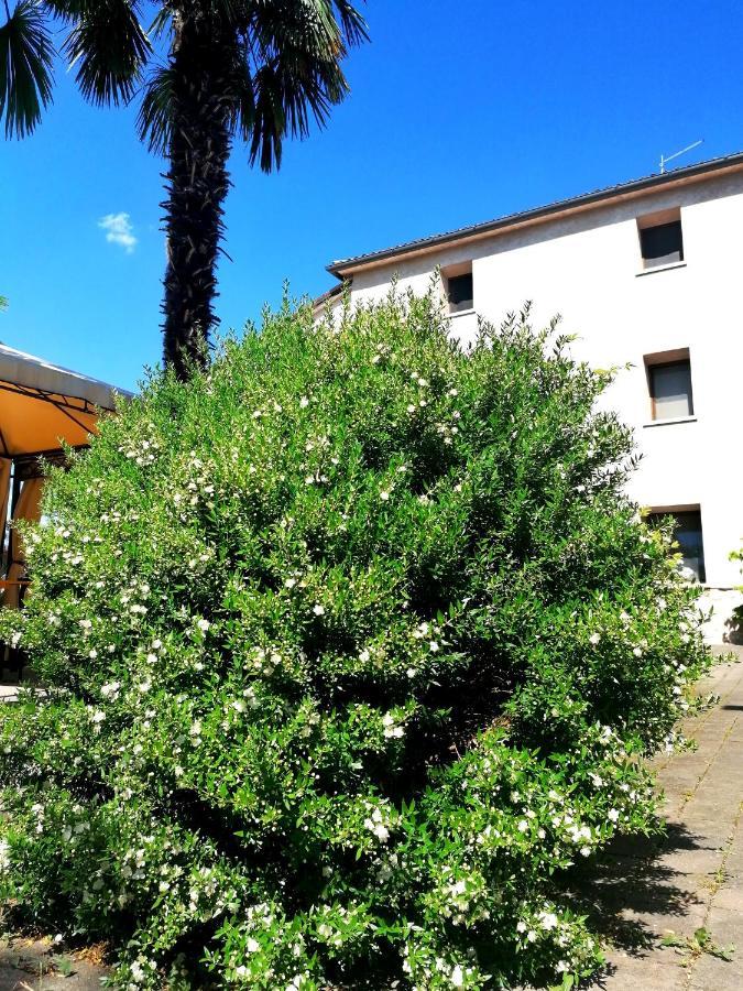 Agriturismo Da Andreina Борсо дел Грапа Екстериор снимка